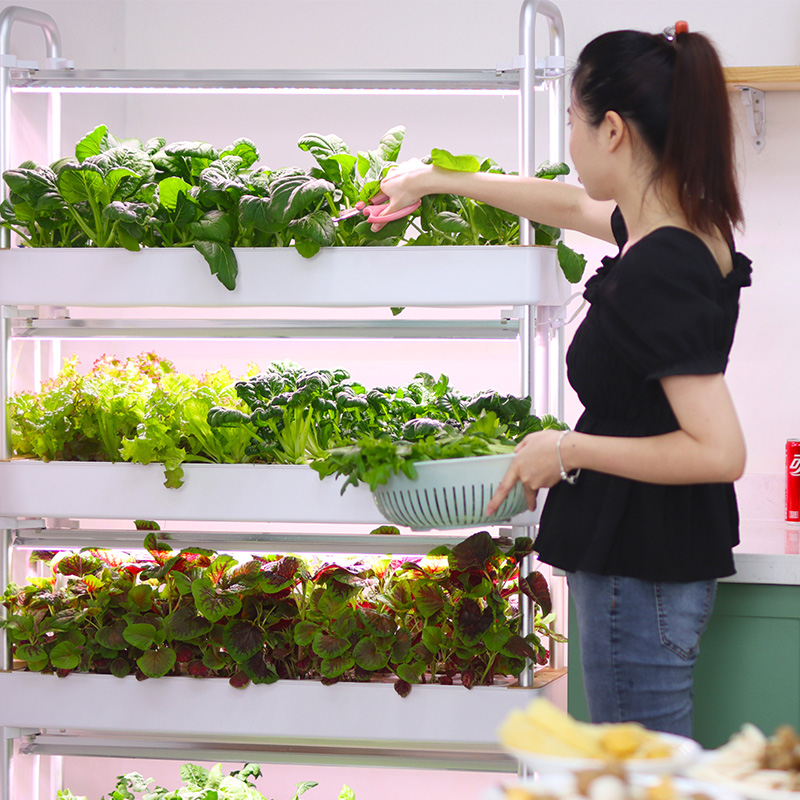 Smart Indoor Garden Hydroponic - Smart Garden Stackable Planters ulasan dan harga