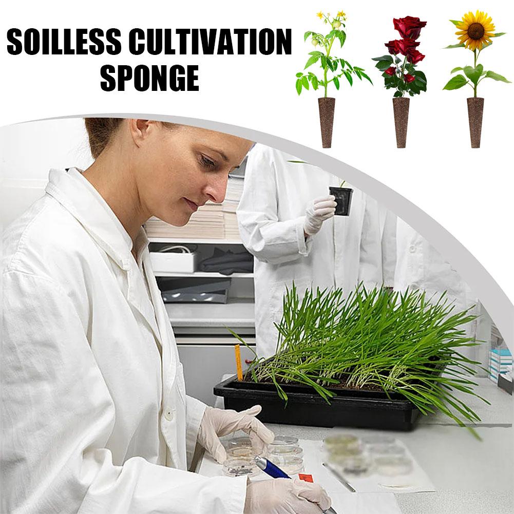 50Pcs Seed Grow Sponges Replac - Aerogarden Seed Pod ulasan dan harga