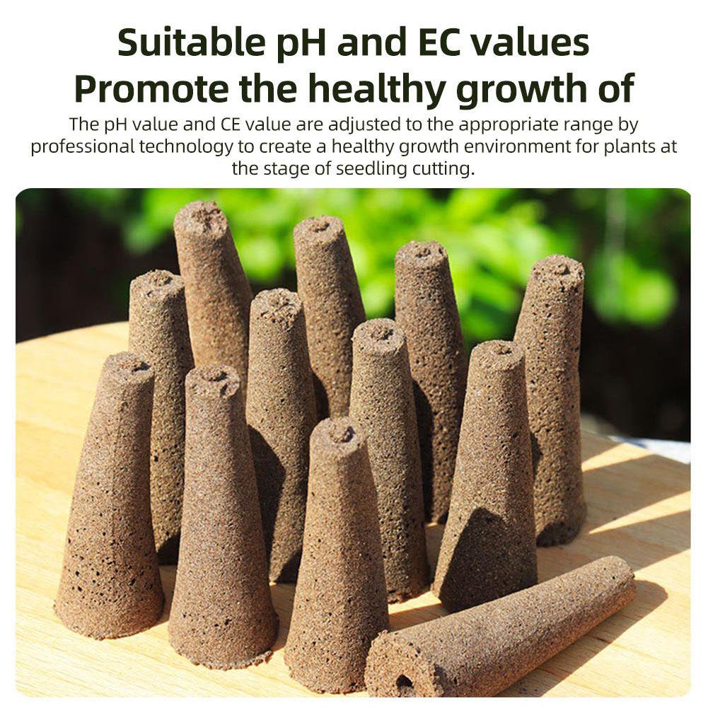50Pcs Seed Grow Sponges Replac - Aerogarden Seed Pod ulasan dan harga
