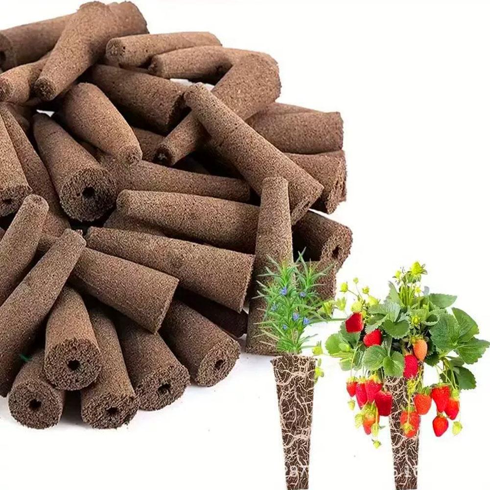 50Pcs Seed Grow Sponges Replac - Aerogarden Seed Pod ulasan dan harga