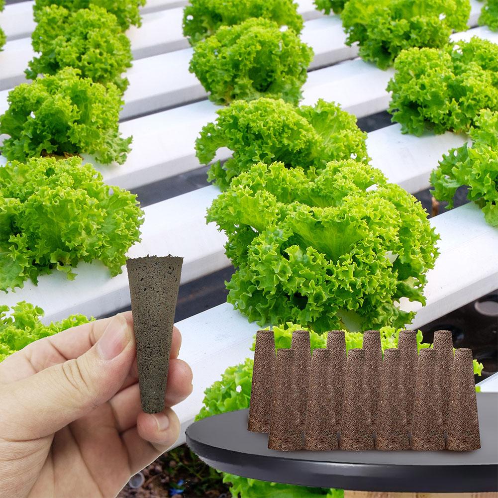 50Pcs Seed Grow Sponges Replac - Aerogarden Seed Pod ulasan dan harga
