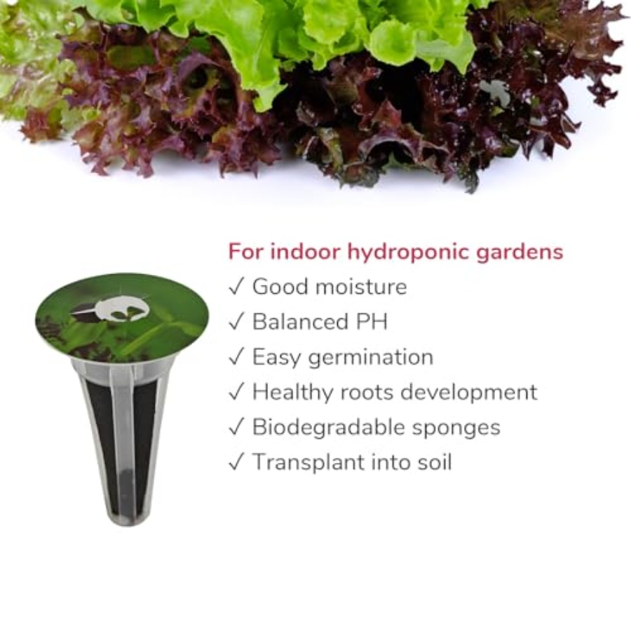 20-pod Seed Kit Lettuce Salad  - Aerogarden Seed Pod ulasan dan harga