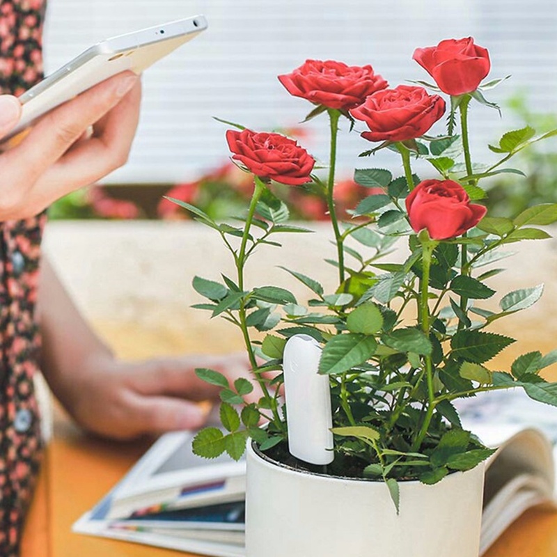 HHCC Flower Monitor Flora Gard - Smart Garden Water ulasan dan harga