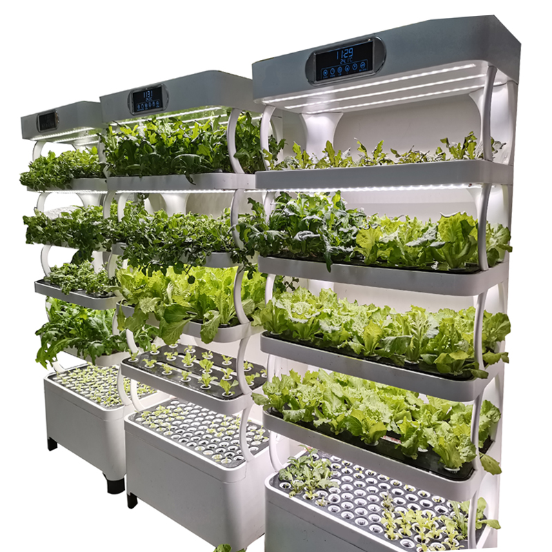 Indoor Smart Low Cost Hydropon - Smart Garden System ulasan dan harga