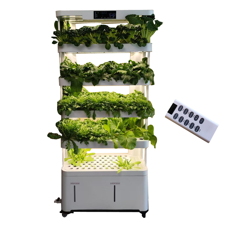 Indoor Smart Low Cost Hydropon - Smart Garden System ulasan dan harga