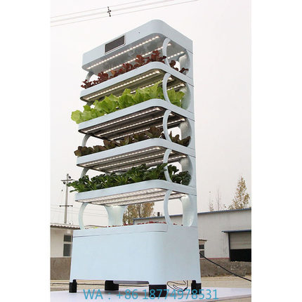 arming Home Hydroponic Growing - Smart Garden System ulasan dan harga