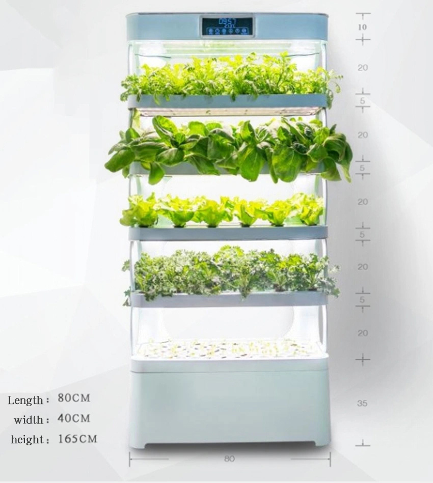 arming Home Hydroponic Growing - Smart Garden System ulasan dan harga