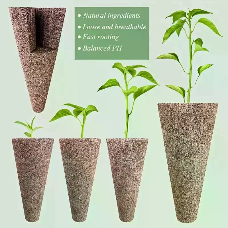 Robust Hydroponics Supplies, 6 - Aerogarden Seed Pod ulasan dan harga