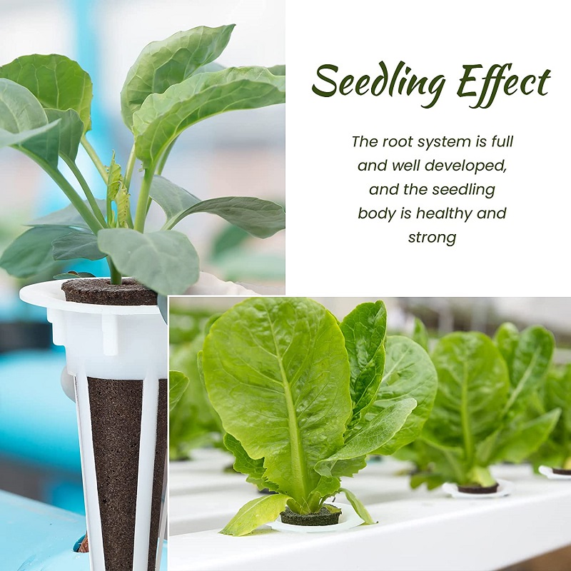 50/100pcs Plant Grow Basket Fo - Aerogarden Seed Pod ulasan dan harga