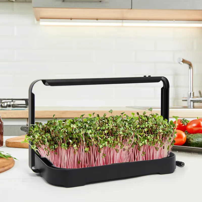 Hydroponic Tray Indoor Microgr - Smart Garden System ulasan dan harga