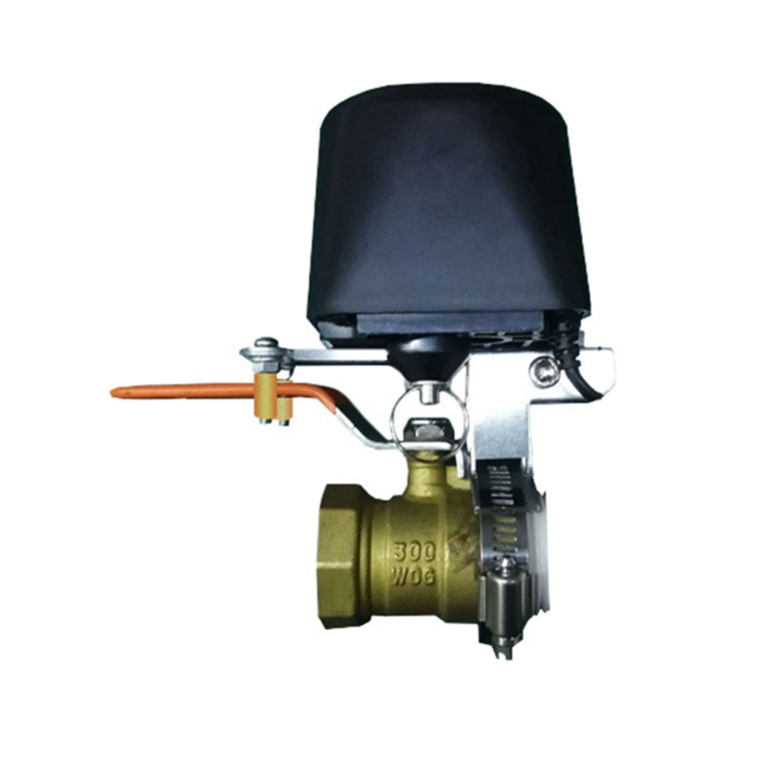 (A02R] Tuya Smart WiFi Water V - Smart Garden Water ulasan dan harga